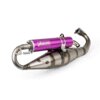 Pot d'échappement Yasuni C16 Piaggio Zip Violet