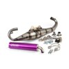 Pot d'échappement Yasuni C16 Piaggio Zip Violet