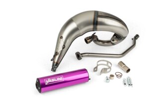 Exhaust Yasuni Cross ML Beta RR 2010 - 2020 Purple