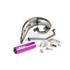 Pot d'échappement Yasuni Cross ML Sherco SM-R 50 Violet