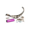 Auspuff Yasuni R2 AM6 / Derbi Lila