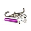 Exhaust Yasuni C21 Minarelli horizontal Purple