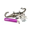 Exhaust Yasuni R-Pro Peugeot liegend / Morini Purple