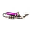 Exhaust Yasuni R-Pro Peugeot liegend / Morini Purple