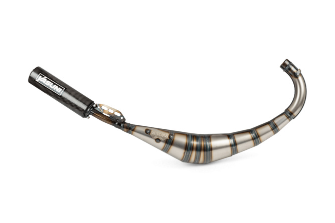 Escape Yasuni R2 AM6 / Derbi Silenciador Carbono