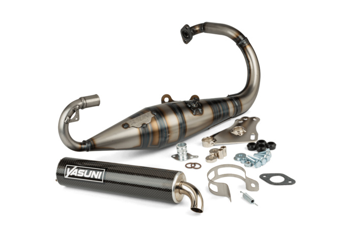 Auspuff Yasuni R-Pro Peugeot stehend Carbon