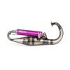 Scarico Yasuni R-Pro Peugeot verticale Viola