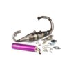 Scarico Yasuni R-Pro Peugeot verticale Viola