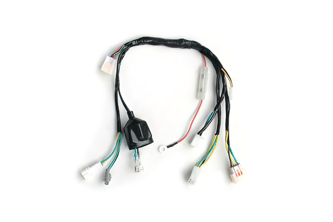 Cable Harness (waterproof) with starter Pit Bike YCF Bigy