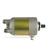 Electric Starter Motor maxiscooters 