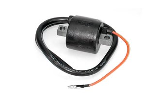 Ignition Coil w/ spark plug cable Yamaha Nitro / BW's