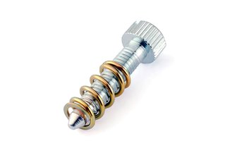 Idle Screw Dell'Orto PHBG with springs