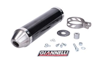 Silenziatore Giannelli Street Carbone Aprilia RS4 50 2011 - 2015