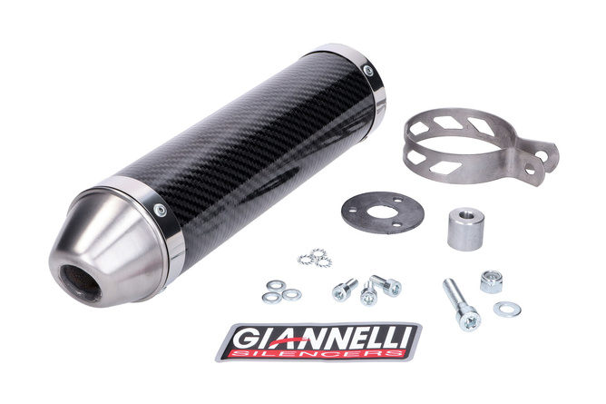 Silenciador Giannelli Street Carbono Aprilia RS4 50 2011 - 2015