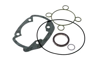 Cylinder Gasket Set Malossi MHR Peugeot Ludix LC