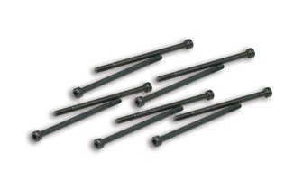 Screws Malossi for variator weights