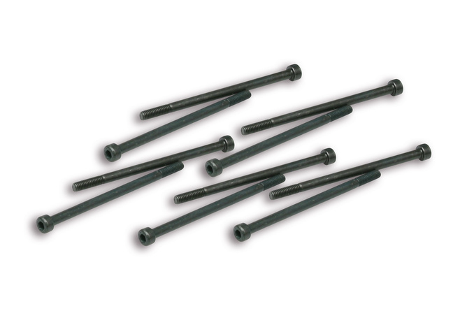 Screws Malossi for variator weights 