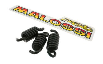 Muelles de Embrague Malossi Racing d.2.2mm Negro
