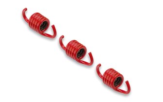 Clutch Springs Malossi Racing red d=2.2