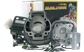 Cylinder Malossi Sport 70cc cast iron Piaggio NRG Purejet / Runner Purejet