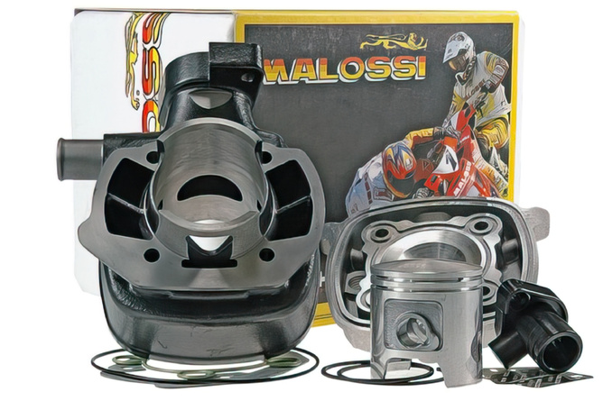 Cylindre culasse Malossi 70cc "Sport" fonte Peugeot Ludix LC 