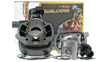 Cylinder Malossi Sport 70cc cast iron Peugeot Ludix LC