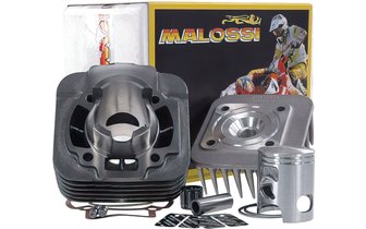 Cylinder Malossi Sport 50cc cast iron Piaggio Typhoon / Stalker