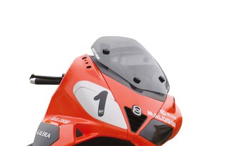 Windschutzscheibe Malossi RACING Gilera Nexus 500cc LC 4T