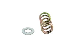 Spring and washer for idle adjustment screw (2 parts), for Mikuni TM24