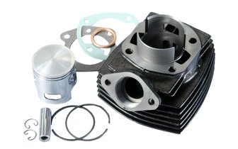 Zylinder Polini 70cc Grauguss Sport D.46mm Peugeot FOX / Honda Wallaroo