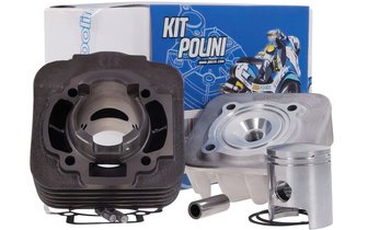 Cylinder Polini Sport 50cc cast iron Piaggio Typhoon / Stalker