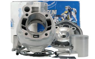 Cylinder Polini Alu Race 79cc 2 piston rings Minarelli AM6
