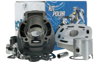 Cylinder Polini Sport 70cc cast iron Piaggio NRG Purejet / Runner Purejet