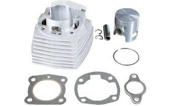Cylinder Kit Polini W 50cc Peugeot 103 AC