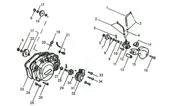 Original Spare Parts Minarelli AM6 - Water / Oil Pump 