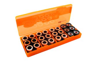 Variator Weight Tuning Kit Stage6 19x15.5mm - 4 - 5.5g