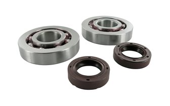 Stage6 R/T Crankshaft Bearings + Oil Seals C4 polymer cage (milled down outer ring) Piaggio