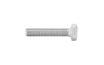 Screw M6x50 galvanized 8.8 (x10)