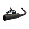 Auspuff Polini Original 2 PGO Big Max