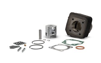 Cylinder Kit Malossi Sport 50cc Honda Vision / Peugeot ST Rapido