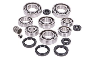 Pack roulements et joints spi moteur ROTAX type 123 -1997