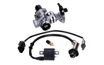 Einspritzanlage 139QMB 50cc EFI Euro 4 - Euro 5