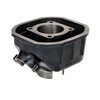 Zylinder Kit d.46mm Polini Honda Camino LC